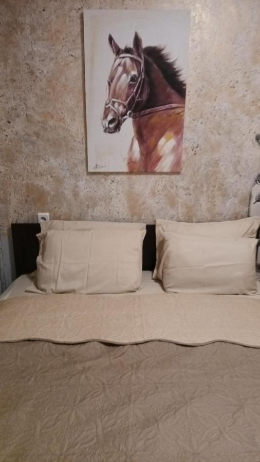 Apartament-Damo Pamporovo Buitenkant foto